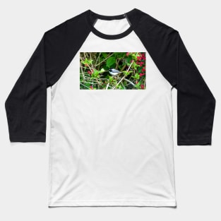 Black-capped Chickadee Hiding In A Bush Baseball T-Shirt